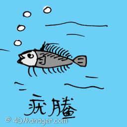 鱿鱼 small fish