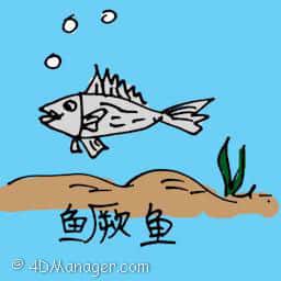 鳜鱼 mandarin fish