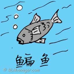 鳊鱼 bream fish
