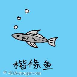 措条鱼 small fish