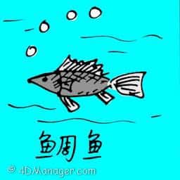 鲷鱼 sea bream