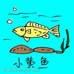小黄鱼 small yellow croaker