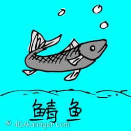 鲭鱼 scomber fish