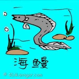 海鳗 sea conger-eel