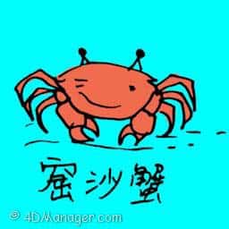 窟鱼 sand crab