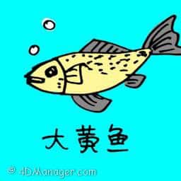大黄鱼 big yellow croaker