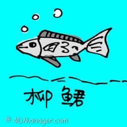 柳君 tetra fish