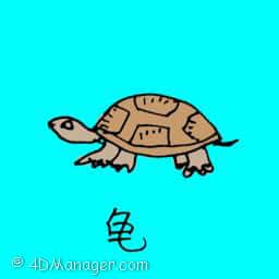 龟 small turtle