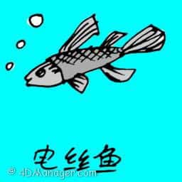 电丝鱼 tiny thin fish