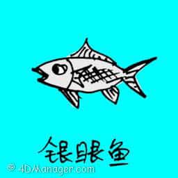 银眼鱼 sliver eye fish