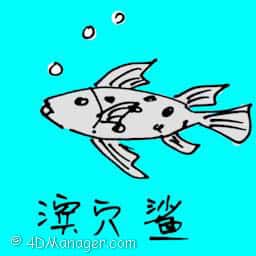 滨穴鲨 spotted shark