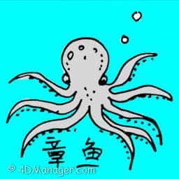 章鱼 octopus