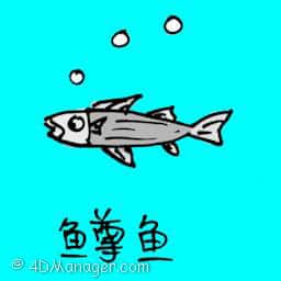 鳟鱼 trouts