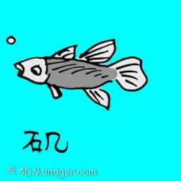 矶螫 little fish