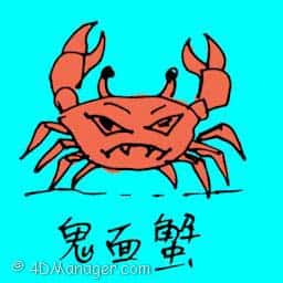 鬼面蟹 ghost face crab