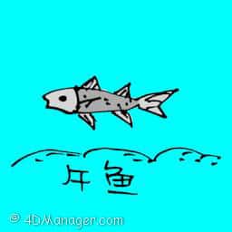 午鱼 indian salmon