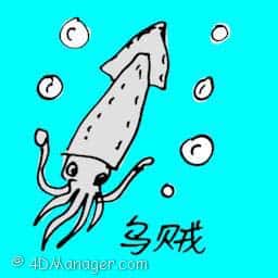乌贼 squid