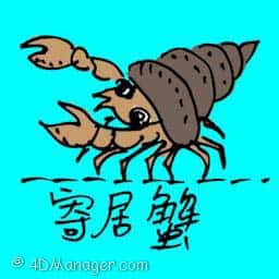 寄居蟹 hermit crab