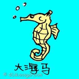 大海马 giant seahorse