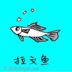 拉文鱼 lavin fish