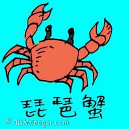 琵琶蟹 frog crab