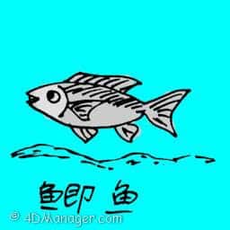 ?鱼 crucian carp