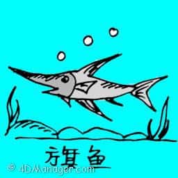 旗鱼 flat fish