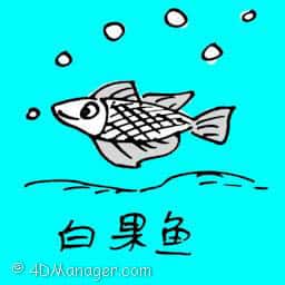 白果鱼 gingko fish