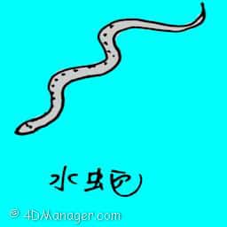 水蛇 water snake