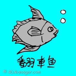 翻车鱼 ocean sunfish