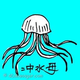 冲水母 jellyfish