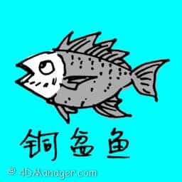 铜盆鱼 pagrus major fish