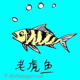 老虎鱼 tiger fish