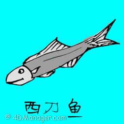 西刀鱼 west saury