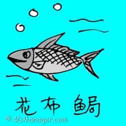 画布鱼 bowfin fish