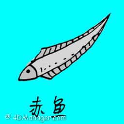赤鱼 red saltwater fish 