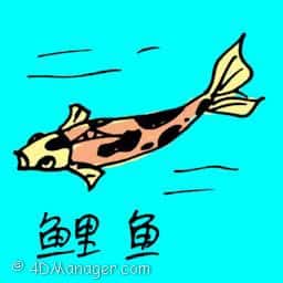 鲤鱼 carp