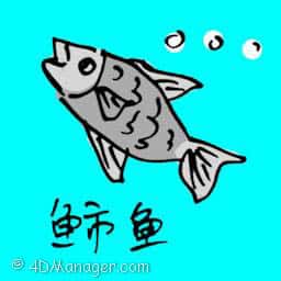 鲍鱼 globe fish