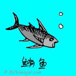 鲔鱼 tuna fish
