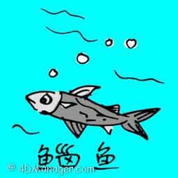 鲻鱼 flathead mullet