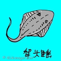 犁头鳐 guitarfish
