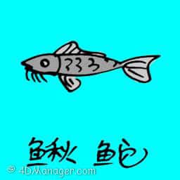 养鱼缸 weather loach