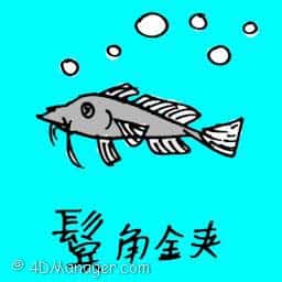 鬓角金?A northern sea robin