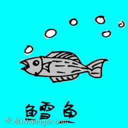 鳕鱼 codfish