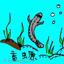 肓? salamander