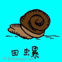 田螺 river snail