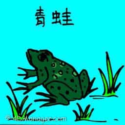 青蛙 green frog