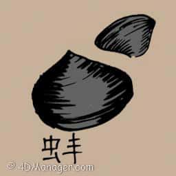 蚌 hard clam