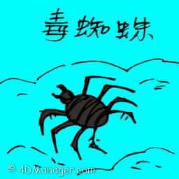 毒蜘蛛 poison spider