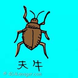 天牛 long-horned beetle